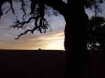 ov011002.jpg (15470 バイト)